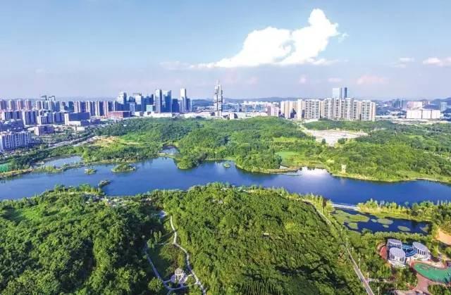 觀山湖公園綠化提升工程